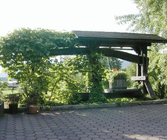 Hotel Landhaus Nendeln 시설 사진